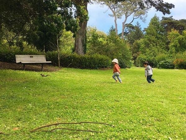 Photo of San Francisco Botanical Garden at San Francisco Botanical Garden, 1199, 9th Avenue, Inner Sunset, San Francisco, California, 94122, United States