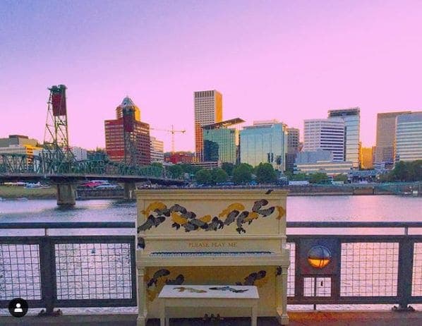 Photo of Portland, Oregon at Animals in Pools, Southwest Yamhill Street, Downtown, Portland, Multnomah County, Oregon, 97204, United States