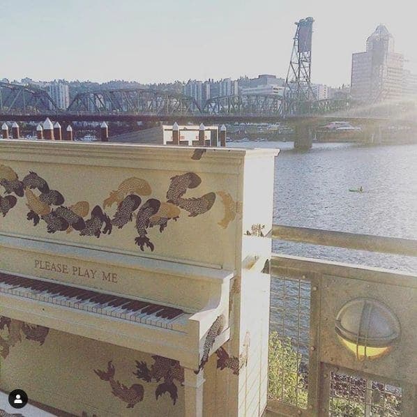 Photo of Portland, Oregon at Animals in Pools, Southwest Yamhill Street, Downtown, Portland, Multnomah County, Oregon, 97204, United States. On the waterfront - what a lovely…