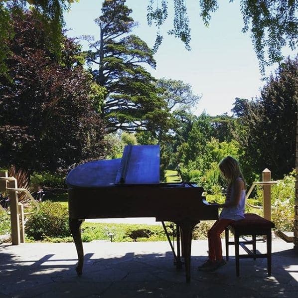 Photo of San Francisco Botanical Garden at San Francisco Botanical Garden, 1199, 9th Avenue, Inner Sunset, San Francisco, California, 94122, United States