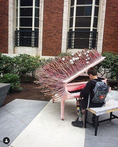 Photo of Portland, Oregon at Animals in Pools, Southwest Yamhill Street, Downtown, Portland, Multnomah County, Oregon, 97204, United States. Good morning!! Which piano are you…