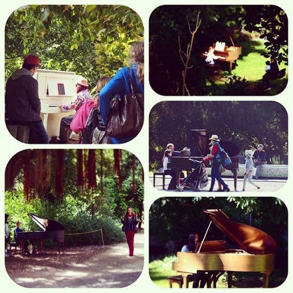 Photo of Strybing Arboretum Society of Golden Gate Park at 1101;1115;1117, Irving Street, Inner Sunset, San Francisco, California, 94122, United States