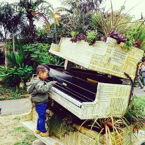 Photo of San Francisco Botanical Garden at San Francisco Botanical Garden, 1199, 9th Avenue, Inner Sunset, San Francisco, California, 94122, United States