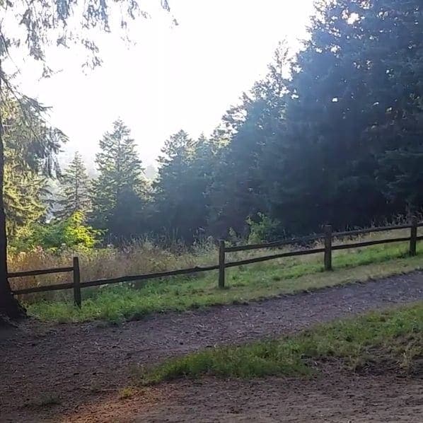 Photo of Mt. Tabor at Southeast Harvey Scott Circle, Mount Tabor, Portland, Multnomah County, Oregon, United States