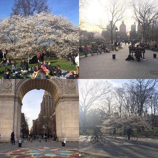 Photo of Washington Square Park at Washington Square Fountain, Washington Square South, Washington Square Village, Manhattan Community Board 2, Manhattan, New York County, New…