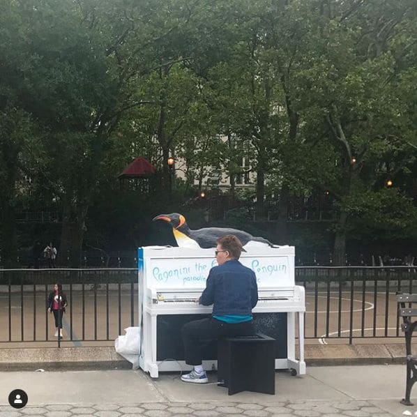 Photo of Carl Schurz Park Conservancy at East 87th Street, Yorkville, Manhattan, New York County, New York, 10128, United States