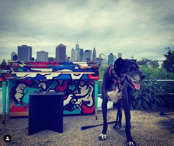 Photo of Brooklyn Bridge Park Pier 6 at 360 Furman Street, 360, Furman Street, Cobble Hill, Brooklyn, Kings County, New York, 11201, United States