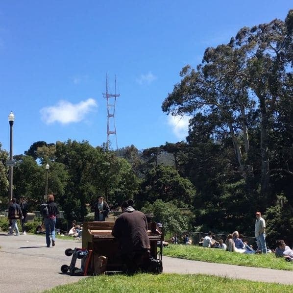 Photo of Golden Gate Park at 45, Hagiwara Tea Garden Drive, San Francisco, California, 94118, United States