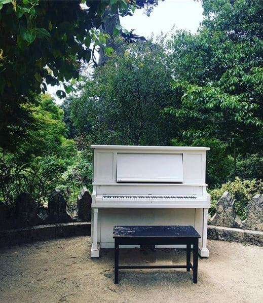 Photo of San Francisco Botanical Garden at San Francisco Botanical Garden, 1199, 9th Avenue, Inner Sunset, San Francisco, California, 94122, United States