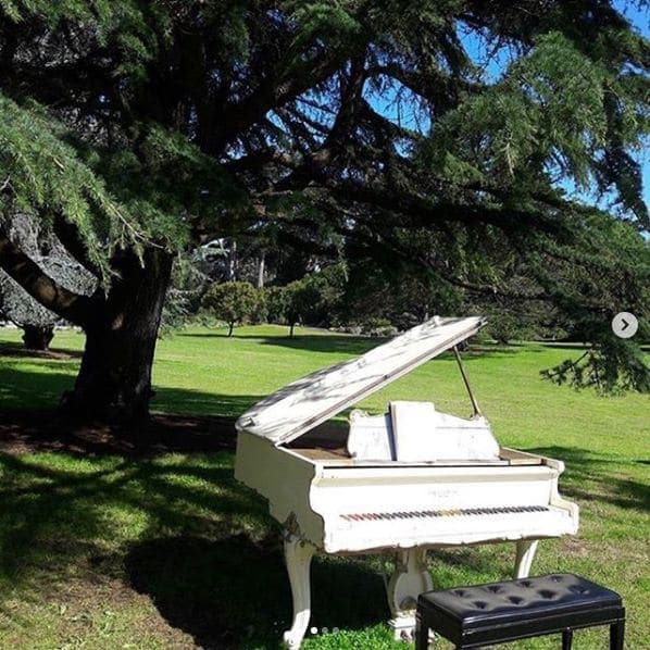 Photo of San Francisco Botanical Garden at San Francisco Botanical Garden, 1199, 9th Avenue, Inner Sunset, San Francisco, California, 94122, United States