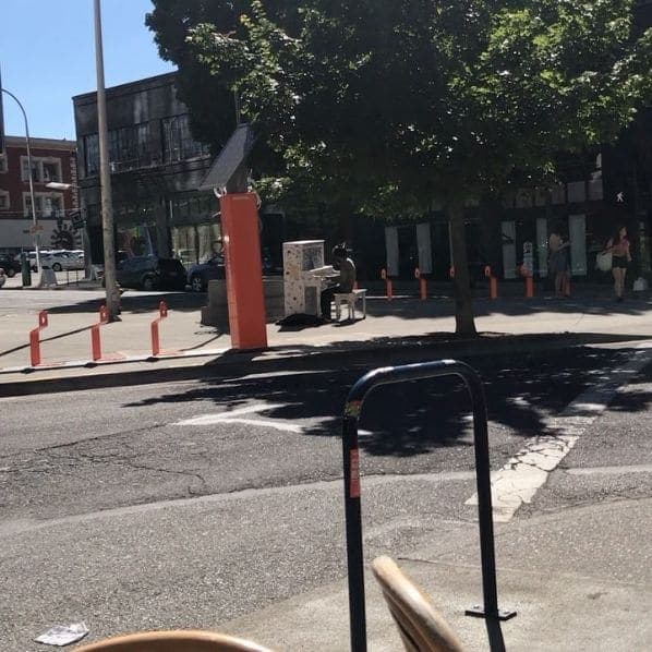 Photo of Portland, Oregon at Animals in Pools, Southwest Yamhill Street, Downtown, Portland, Multnomah County, Oregon, 97204, United States