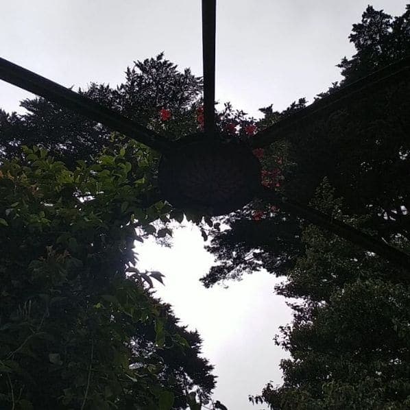 Photo of San Francisco Botanical Garden at San Francisco Botanical Garden, 1199, 9th Avenue, Inner Sunset, San Francisco, California, 94122, United States