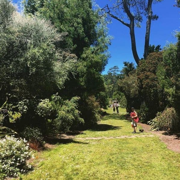 Photo of San Francisco Botanical Garden at San Francisco Botanical Garden, 1199, 9th Avenue, Inner Sunset, San Francisco, California, 94122, United States