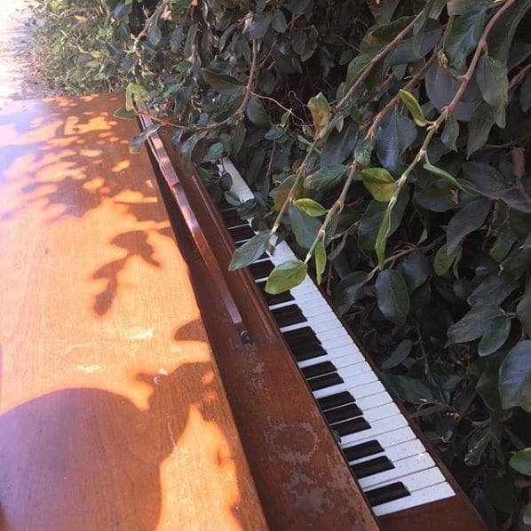 Photo of Hollywood at Selma Elementary School, Selma Avenue, Hollywood, Los Angeles, California, 90028, United States