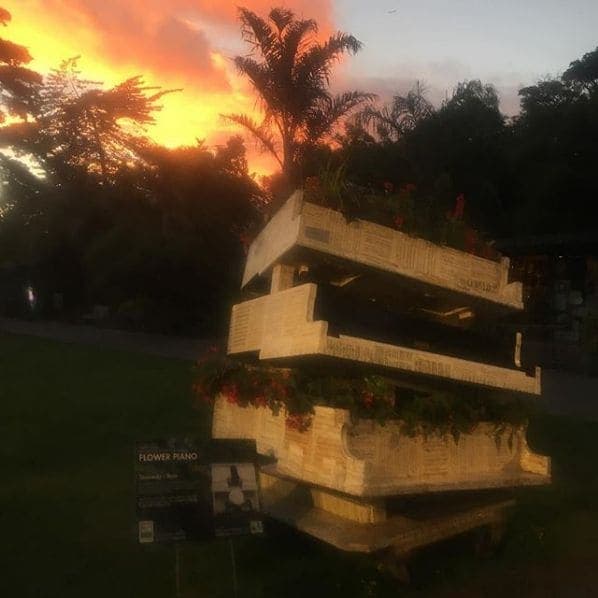 Photo of San Francisco Botanical Garden at San Francisco Botanical Garden, 1199, 9th Avenue, Inner Sunset, San Francisco, California, 94122, United States