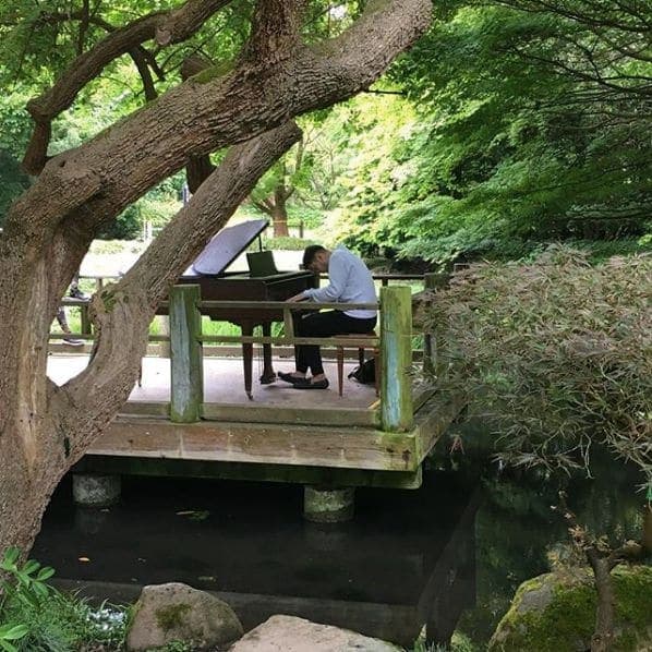 Photo of San Francisco Botanical Garden at San Francisco Botanical Garden, 1199, 9th Avenue, Inner Sunset, San Francisco, California, 94122, United States