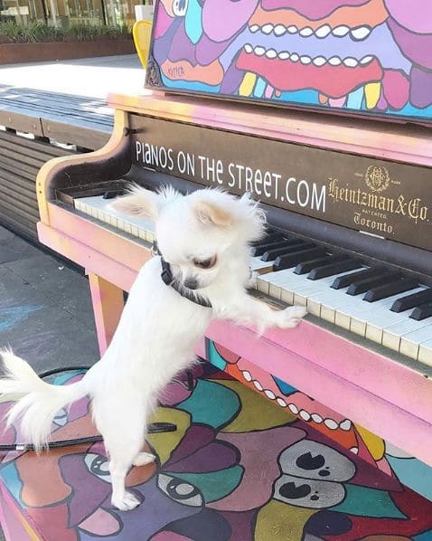 Public piano in North Vancouver, British Columbia, Canada