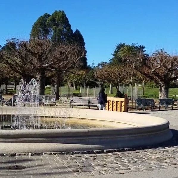 Photo of Golden Gate Park at 45, Hagiwara Tea Garden Drive, San Francisco, California, 94118, United States