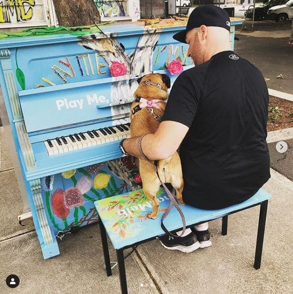 Photo of Boyd at Boyd Community Hub, 207-229, City Road, Southbank, Melbourne, City of Melbourne, Victoria, 3006, Australia