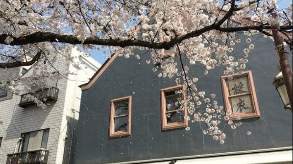 Photo of アンティークジョン at アンティーク・ジョン, 大学通り, 北一丁目, Kunitachi, Tokyo, 186-0002, Japan