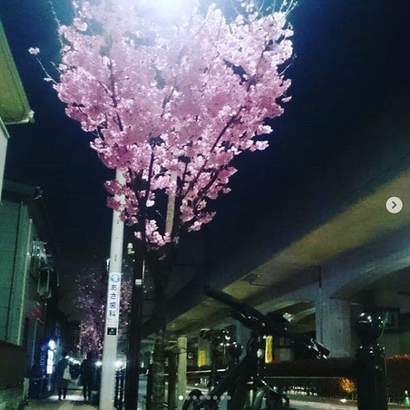 Photo of 国立駅 at 国立駅南口第1自転車駐車場, 立川国分寺線, 北一丁目, Kunitachi, Tokyo, 186-0002, Japan