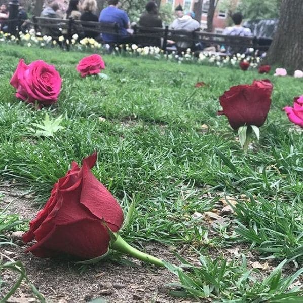 Photo of Washington Square Park at Washington Square Fountain, Washington Square South, Washington Square Village, Manhattan Community Board 2, Manhattan, New York County, New…