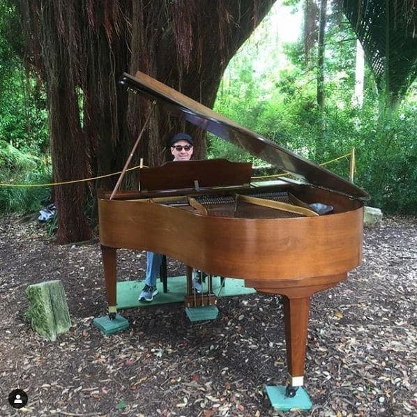 Photo of San Francisco Botanical Garden at San Francisco Botanical Garden, 1199, 9th Avenue, Inner Sunset, San Francisco, California, 94122, United States