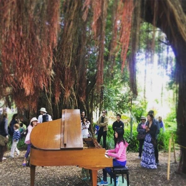 Photo of San Francisco Botanical Garden at San Francisco Botanical Garden, 1199, 9th Avenue, Inner Sunset, San Francisco, California, 94122, United States