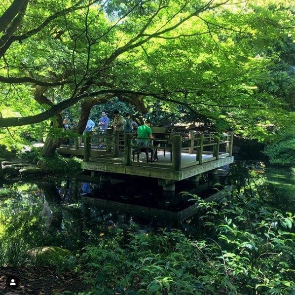 Photo of San Francisco Botanical Garden at San Francisco Botanical Garden, 1199, 9th Avenue, Inner Sunset, San Francisco, California, 94122, United States