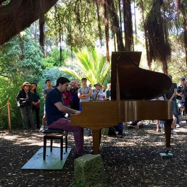 Photo of San Francisco Botanical Garden at San Francisco Botanical Garden, 1199, 9th Avenue, Inner Sunset, San Francisco, California, 94122, United States