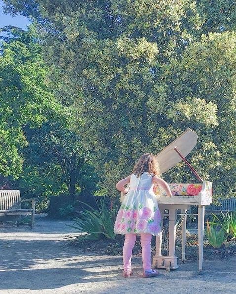 Photo of San Francisco Botanical Garden at San Francisco Botanical Garden, 1199, 9th Avenue, Inner Sunset, San Francisco, California, 94122, United States
