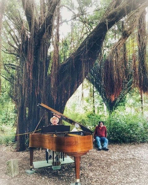 Photo of Golden Gate Park at 45, Hagiwara Tea Garden Drive, San Francisco, California, 94118, United States