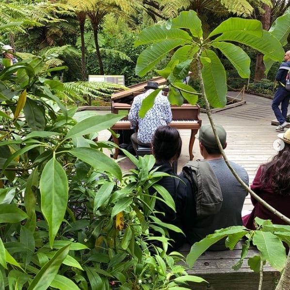 Photo of San Francisco Botanical Garden at San Francisco Botanical Garden, 1199, 9th Avenue, Inner Sunset, San Francisco, California, 94122, United States