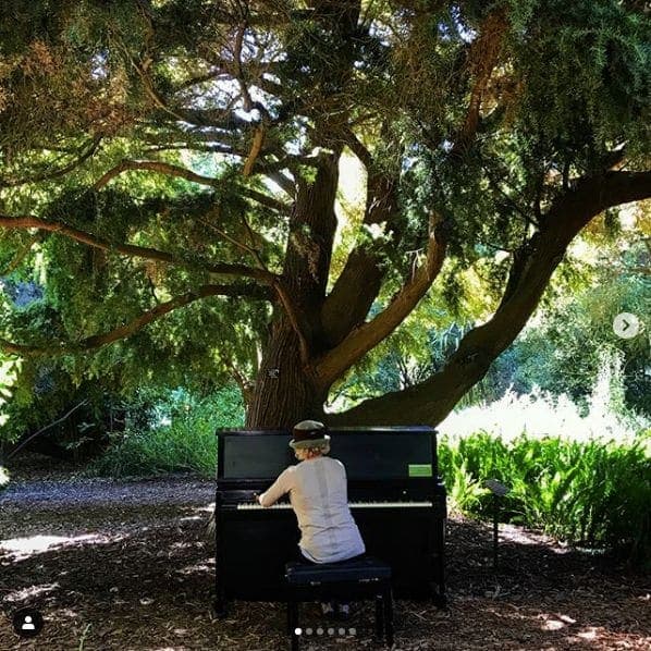 Photo of San Francisco Botanical Garden at San Francisco Botanical Garden, 1199, 9th Avenue, Inner Sunset, San Francisco, California, 94122, United States