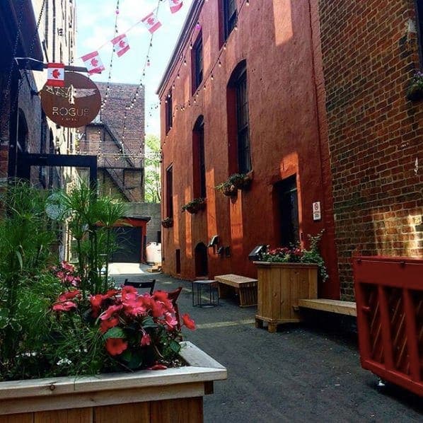 Photo of Rogue Coffee at Rogue Café, 36, Grannan Street, Indiantown, Saint John, Saint John County, New Brunswick, E2L 0E9, Canada