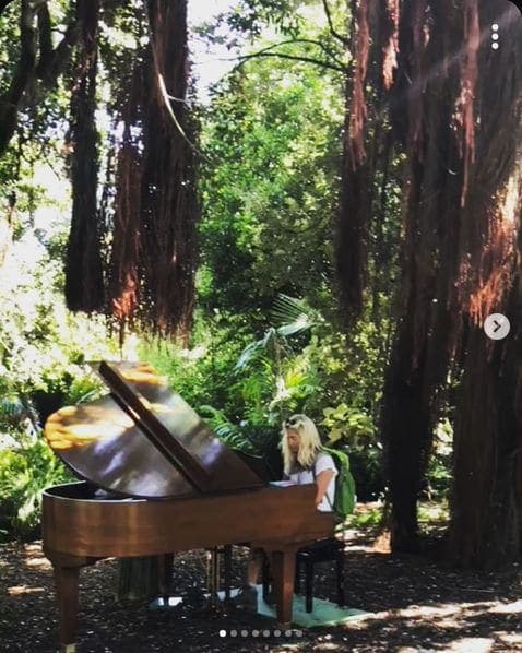 Photo of San Francisco Botanical Garden at San Francisco Botanical Garden, 1199, 9th Avenue, Inner Sunset, San Francisco, California, 94122, United States