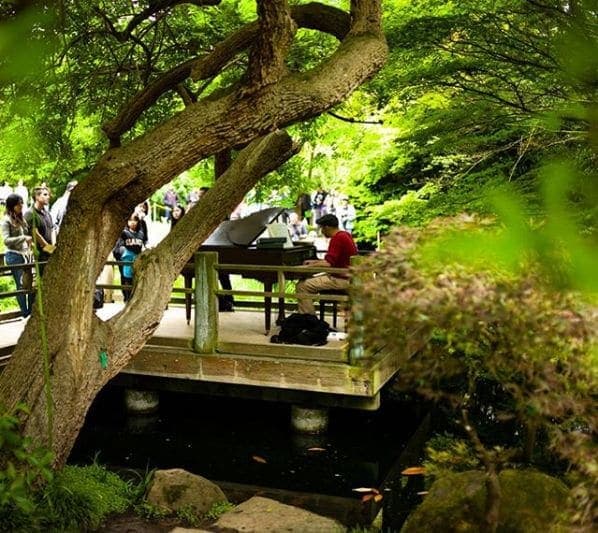 Photo of San Francisco Botanical Garden at San Francisco Botanical Garden, 1199, 9th Avenue, Inner Sunset, San Francisco, California, 94122, United States