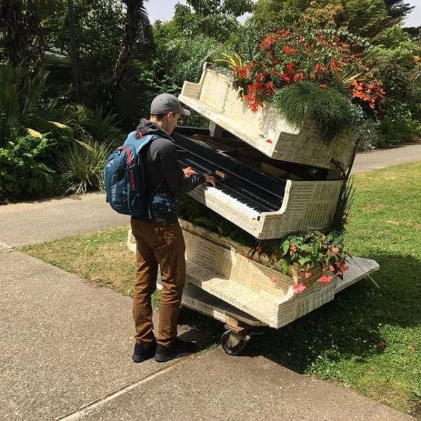 Photo of San Francisco Botanical Garden at San Francisco Botanical Garden, 1199, 9th Avenue, Inner Sunset, San Francisco, California, 94122, United States