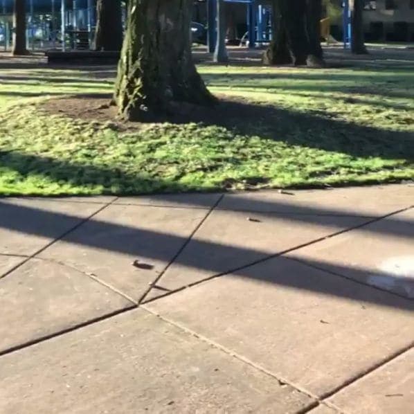 Photo of Peninsula Park at Maintenance Building, North Kerby Avenue, Piedmont, Portland, Multnomah County, Oregon, 97217, United States
