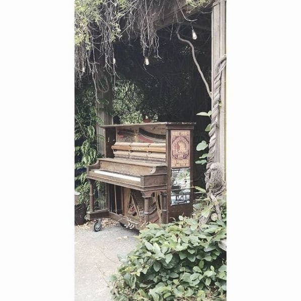 Photo of San Francisco Botanical Garden at San Francisco Botanical Garden, 1199, 9th Avenue, Inner Sunset, San Francisco, California, 94122, United States