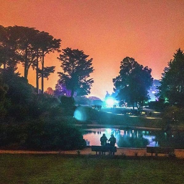 Photo of Golden Gate Park at 45, Hagiwara Tea Garden Drive, San Francisco, California, 94118, United States