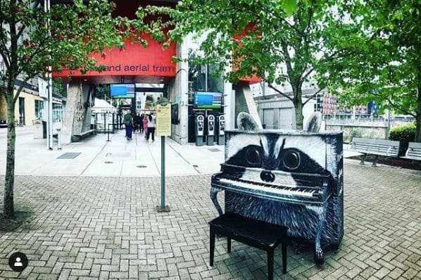 Photo of Portland, Oregon at Animals in Pools, Southwest Yamhill Street, Downtown, Portland, Multnomah County, Oregon, 97204, United States