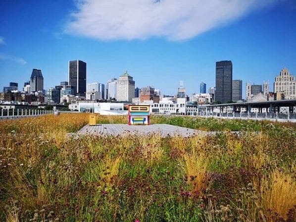 Photo of Montreal, Quebec at 770, Rue Sherbrooke Ouest, Montagne, Ville-Marie, Montreal, Urban agglomeration of Montreal, Montreal (06), Quebec, H3A 1E7, Canada