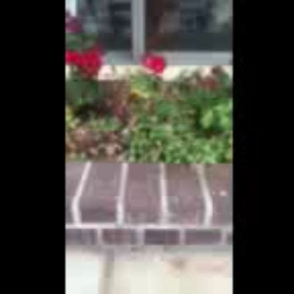 Photo of La Jolla at 7248, Encelia Drive, La Jolla, San Diego, San Diego County, California, 92037, United States