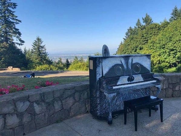 Photo of Council Crest Park at Council Crest Trail, Southwest Hills, Portland, Multnomah County, Oregon, 97201, United States. Spotted: a casual raccoon piano in Council Crest…