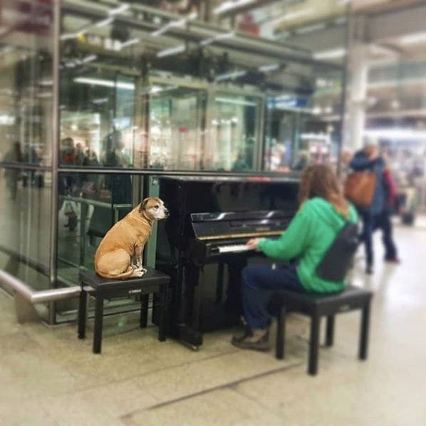 Photo of St Pancras, London at Hubbards Cupboards, Gray's Inn Road, Gray's Inn, Holborn, London Borough of Camden, London, Greater London, England, WC1X 8UL, United Kingdom