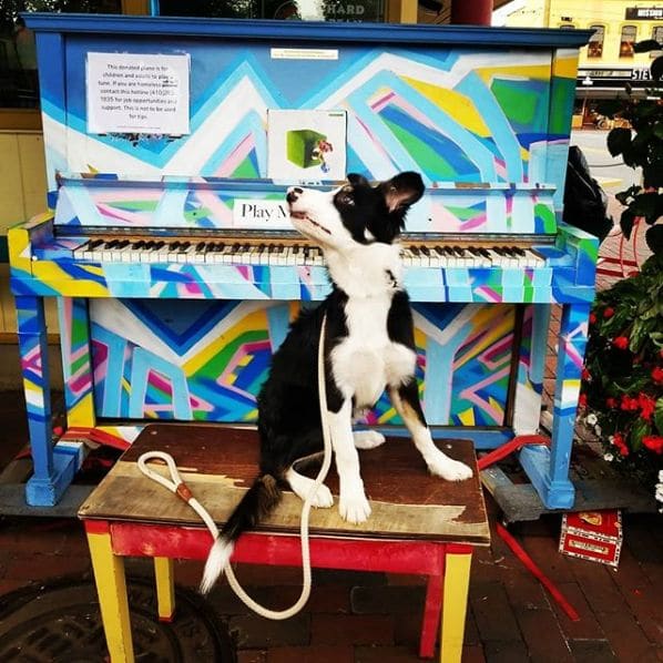Public piano in Annapolis, Maryland, United States