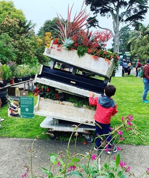 Photo of San Francisco Botanical Garden at San Francisco Botanical Garden, 1199, 9th Avenue, Inner Sunset, San Francisco, California, 94122, United States