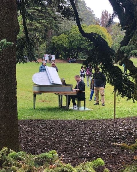 Photo of San Francisco Botanical Garden at San Francisco Botanical Garden, 1199, 9th Avenue, Inner Sunset, San Francisco, California, 94122, United States