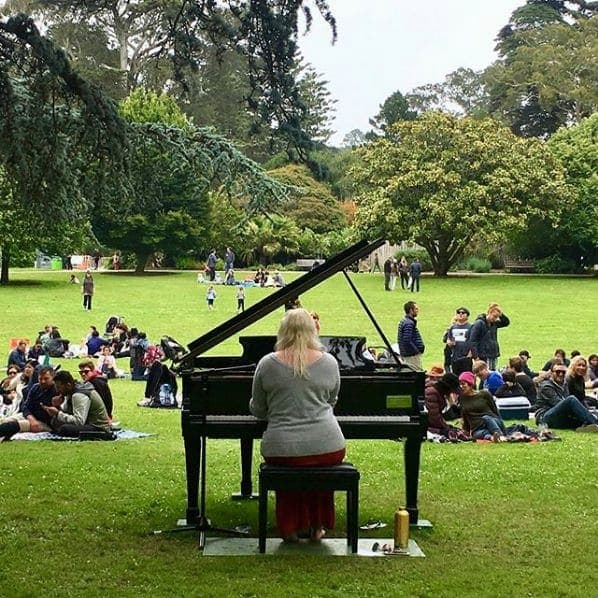 Photo of San Francisco Botanical Garden at San Francisco Botanical Garden, 1199, 9th Avenue, Inner Sunset, San Francisco, California, 94122, United States